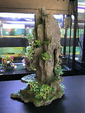 Large tall rock for sale  ASHTON-UNDER-LYNE