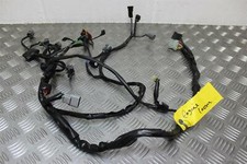 Cbf1000 engine loom for sale  COLCHESTER