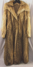 Beautiful women coyote for sale  Fort Lauderdale