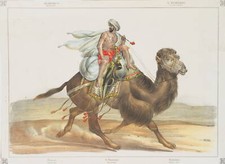 Dromedar arabische post gebraucht kaufen  Frankfurt am Main