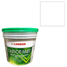 Pittura murale traspirante usato  Italia