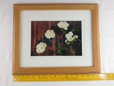 Wonderful dogwood redwood for sale  Sugar Land