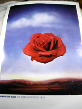Meditative rose salvador gebraucht kaufen  Hamburg