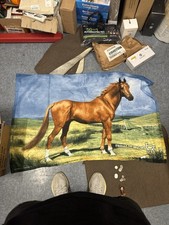 Horse blanket for sale  Miami