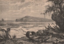 Turtle island three gebraucht kaufen  Versand nach Germany