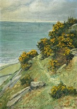 Agnes hilda coates for sale  UK