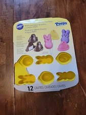 Wilton peeps chicks for sale  Munster