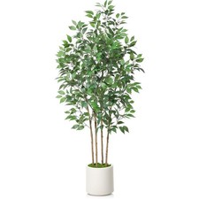 Ficus artificial tree for sale  Ashford
