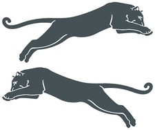 Aufkleber autoaufkleber puma gebraucht kaufen  Paderborn