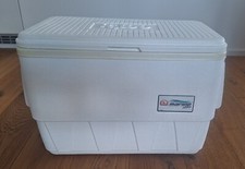 Igloo tragbare kühlbox gebraucht kaufen  Konstanz
