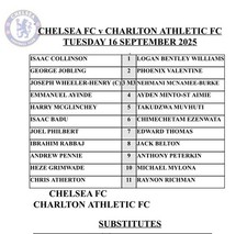 2025 chelsea u17 for sale  SUTTON