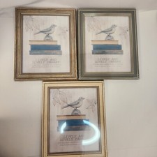Picture photo frames for sale  Blue Grass