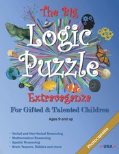Big logic puzzle for sale  Denver