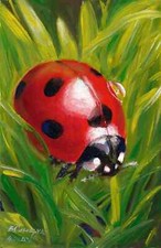 Coccinelle original œuvre d'occasion  Sélestat
