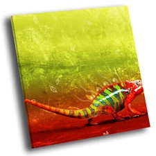 Square animal canvas for sale  STRABANE