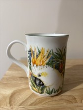 cockatoo parrot for sale  NORWICH