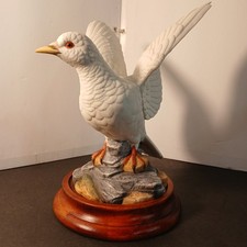 White dove andrea for sale  Cushing