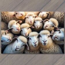 5x7 sheep selfie for sale  Pittsburgh