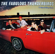 Fabulous thunderbirds bird for sale  NEATH