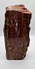 Natural log petrified for sale  Sun City