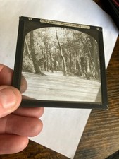 Pinewood bournemouth magic for sale  NORWICH