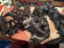 cat ears for sale cat ears for sale Vail