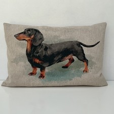 Dachshund sausage dog for sale  HULL
