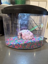 Aqueon led minibow for sale Aqueon led minibow for sale  Riverside