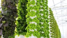 Vertical hydroponic towers for sale  Albany