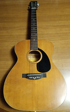 Vintage aria acoustic for sale  Coxsackie
