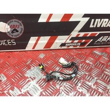 Faisceau secondaire triumph d'occasion Faisceau secondaire triumph d'occasion  France