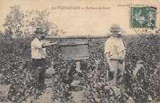 Cpa vendanges porteurs d'occasion  Claira