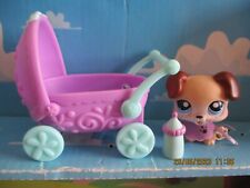 Petshop chiot 143 d'occasion  Bailleul