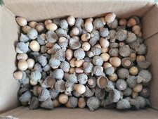 190 natural burr for sale  Luana