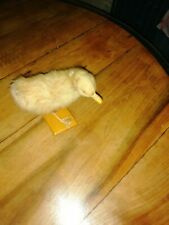 Petit poussin empaillé d'occasion  Veauche