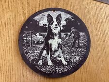 Border collie sheep for sale  WIRRAL