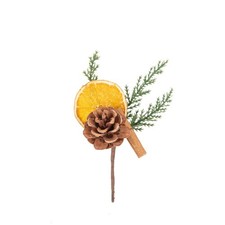 Branche sapin orange d'occasion Branche sapin orange d'occasion  La Valette-du-Var