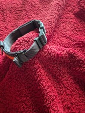 Hundehalsband led zoofari gebraucht kaufen  Papenburg
