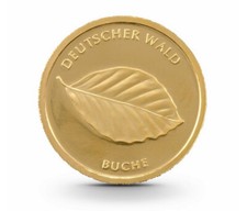 Deutscher wald buche gebraucht kaufen  Hörstel
