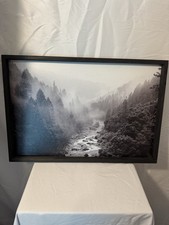 Black white forest for sale  Mount Juliet