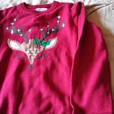 Boys christmas jumper for sale  ENNISKILLEN