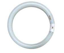 Tubo fluorescente circolare usato  Cerignola