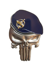 Insigne commandos air d'occasion  Saint-Mamert-du-Gard