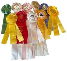 Lote de 10 ADORÁVEIS fitas de show de cavalos anos 2000 rosetas artesanato ESQHA New York State Fair comprar usado  Enviando para Brazil
