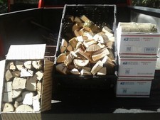 Hickory bar wood for sale  White Springs
