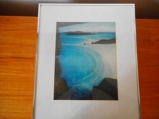 Biddy picard cornish for sale  EXETER