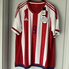Trikot nationalmannschaft para gebraucht kaufen  Markt Bibart