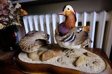 Canard mandarin taxidermie d'occasion  Rouen-