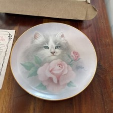 Blushing beauties cat for sale  BURNLEY