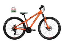 Bici bicicletta mtb usato  Cassano Allo Ionio